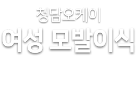 여성 텍스트